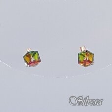 Auksinai auskarai su kristalu AU379