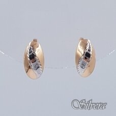 Auksiniai auskarai AE388