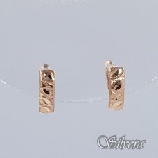 Auksiniai auskarai AE403