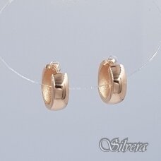 Auksiniai auskarai AE497