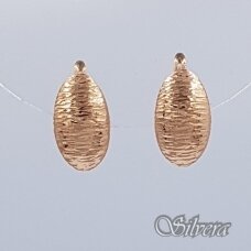 Auksiniai auskarai AU175