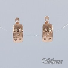 Auksiniai auskarai su cirkoniais AE467