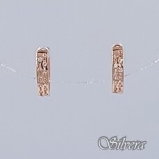 Auksiniai auskarai su cirkoniais AE501