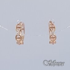 Auksiniai auskarai su cirkoniais AE502