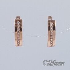 Auksiniai auskarai su cirkoniais AE506