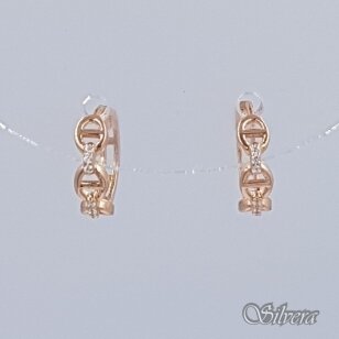 Auksiniai auskarai su cirkoniais AE502