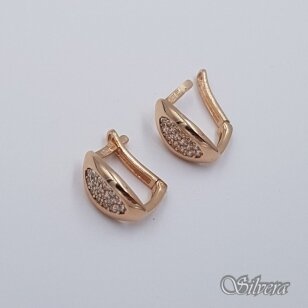 Auksiniai auskarai su cirkoniais AE504